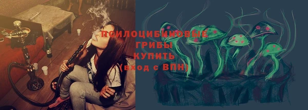 ПСИЛОЦИБИНОВЫЕ ГРИБЫ Богородск
