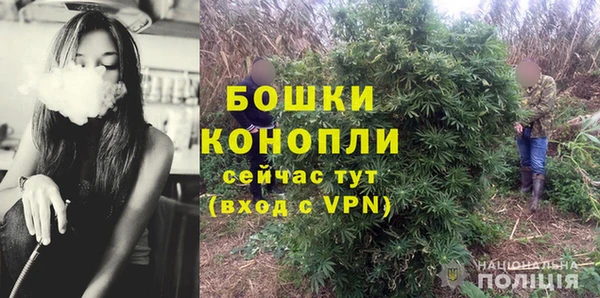 экстази Богданович