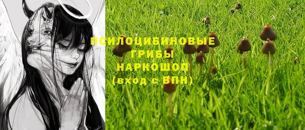 ПСИЛОЦИБИНОВЫЕ ГРИБЫ Богородицк