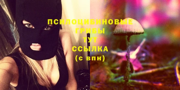 экстази Богданович