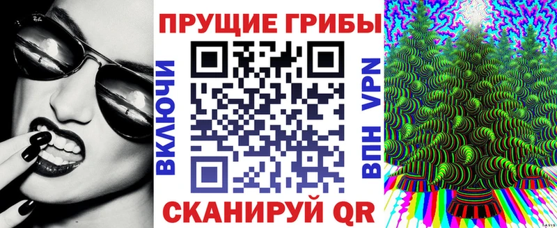 Псилоцибиновые грибы мицелий Купить закладки Тогучин